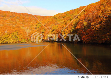 蔦温泉周辺の沼めぐり  ① 蔦沼【青森県十和田市奥入瀬・十和田八幡平国立公園 】 95894864
