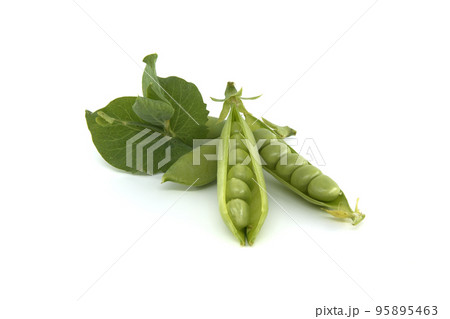 Fresh green peas in pods over white background Fresh green peas in pods over white background 95895463