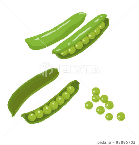 グリーンピースのイラスト 95895702