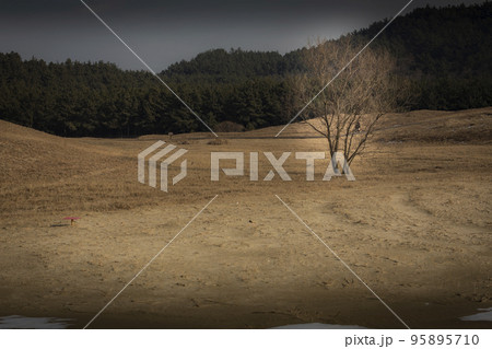 自然 外 砂漠 95895710