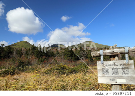 睡蓮沼と八甲田連峰【青森県十和田市・十和田八幡平国立公園 】 睡蓮沼と八甲田連峰【青森県十和田市・十和田八幡平国立公園 】 95897211