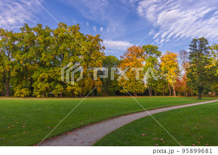 Colorful and vivid autumn colors and bright blue sky in the park Colorful and vivid autumn colors and bright blue sky in the park 95899681