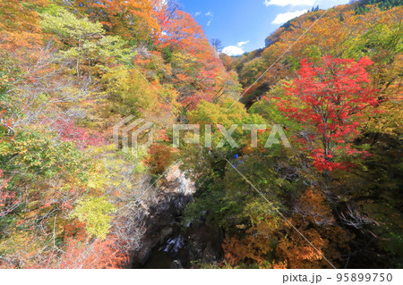 秋の天ヶ谷渓谷（九重町） 95899750