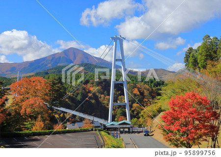秋の九重夢大吊橋 95899756