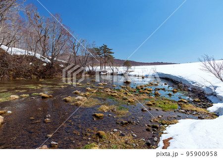 【青森県八甲田山中】グダリ沼は八甲田の雪解け水が伏流水となり湧き出ていると思われている神秘的な沼 【青森県八甲田山中】グダリ沼は八甲田の雪解け水が伏流水となり湧き出ていると思われている神秘的な沼 95900958