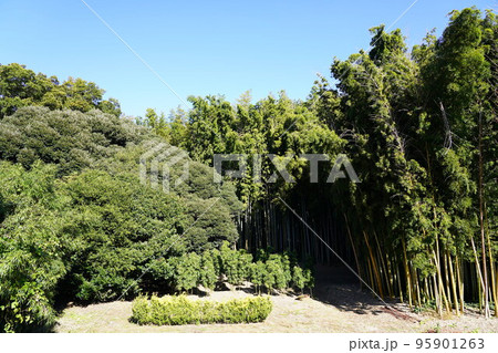 越谷の宮内庁の埼玉鴨場 95901263