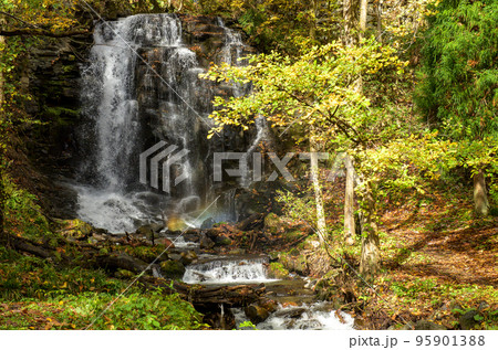木漏れ日差し込む錦見の滝　秋田県　鹿角市 95901388