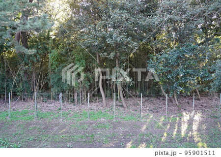 越谷の宮内庁の埼玉鴨場（御猟場） 95901511