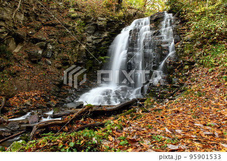 落ち葉に囲まれる錦見の滝 秋田県 鹿角市 落ち葉に囲まれる錦見の滝 秋田県 鹿角市 95901533