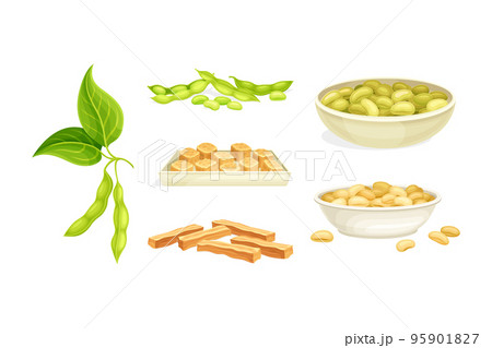 Soy Products with Legume Pod, Beans in Bowl and Meat Slabs Vector Set 95901827