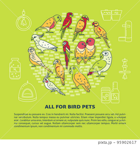 Pet shop round concept banner with parrot icons in line style Pet shop round concept banner with parrot icons in line style 95902617
