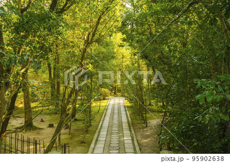 新緑に包まれた小径　--奈良 唐招提寺-- 95902638