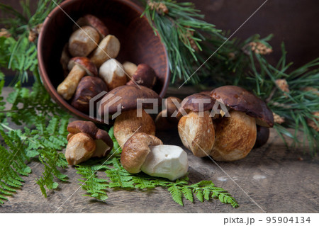 Imleria Badia or Boletus badius mushrooms commonly known as the bay bolete and Porcini mushroom commonly known as Boletus Edulis, clay bowl with mushrooms on vintage wooden background.. 95904134