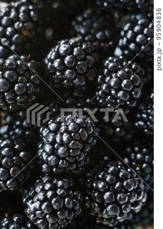 Background from fresh Blackberries, close up. Lot of ripe juicy wild fruit berries lying on the table Background from fresh Blackberries, close up. Lot of ripe juicy wild fruit berries lying on the table 95904836