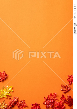 楓 カエデ メープル 95905148