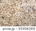 natural background lots of small shells  on the sand 95906369