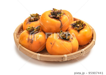 自宅で採れた次郎柿 自宅で採れた次郎柿 95907441