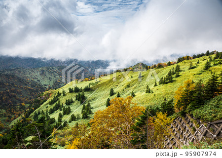 《群馬県》志賀高原渋峠より 95907974