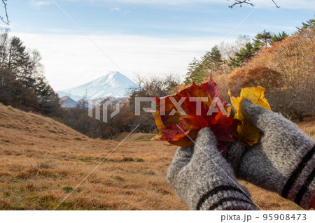大菩薩の丸川峠から見る富士山と紅葉した葉っぱを持つ手袋をした手 95908473