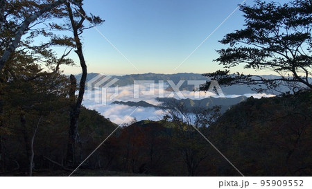 奈良県大台ケ原ドライブウェイからの雲海 95909552