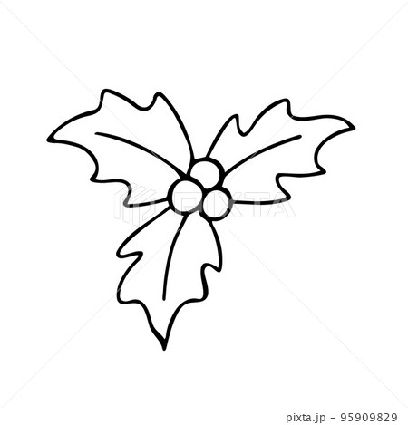 Doodle of holly leaves and berries. 95909829
