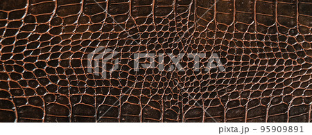 Very luxurious brown crocodile skin texture used in textile industry 95909891