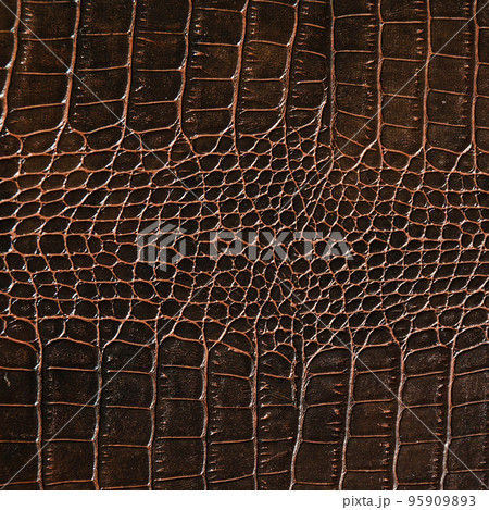 Very luxurious brown crocodile skin texture used in textile industry 95909893