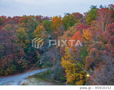 High angle view of the beautiful Lake Ozark High angle view of the beautiful Lake Ozark 95910152