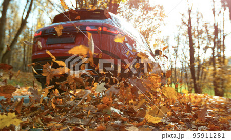 Close-up of a car wheel driving in forest road, swirling colorful leaves. Close-up of a car wheel driving in forest road, swirling colorful leaves. 95911281
