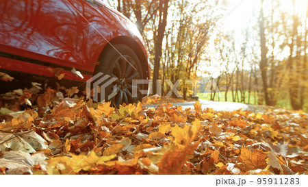 Close-up of a car wheel driving in forest road, swirling colorful leaves. 95911283