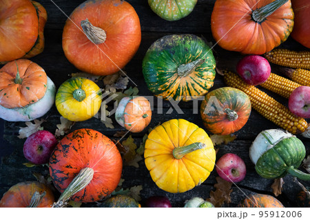 pumpkins in autumn Thanksgiving card pumpkins in autumn Thanksgiving card 95912006