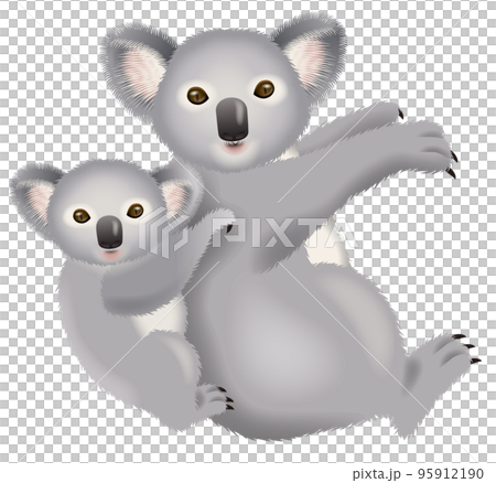 コアラのイラスト 95912190