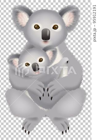 コアラのイラスト 95912191