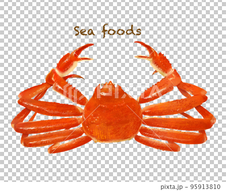 シーフードシリーズー豪華なカニのイラスト素材 シーフードシリーズー豪華なカニのイラスト素材 95913810
