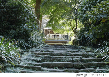 鎌倉 早秋の浄智寺 鎌倉 早秋の浄智寺 95914318