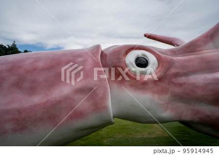 九十九湾 九十九湾 95914945