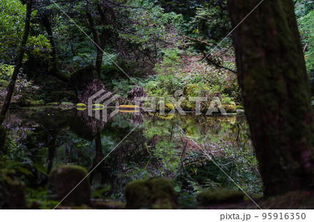 御手洗池 御手洗池 95916350