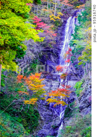紅葉と唐沢の滝(縦) 紅葉と唐沢の滝(縦) 95916740