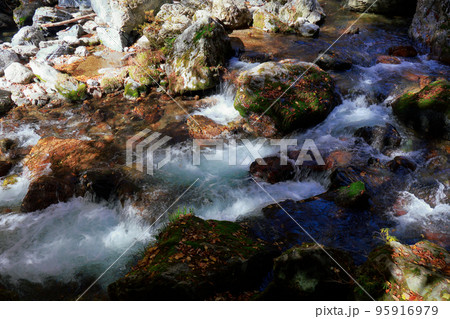 愛媛県 内子町 小田深山 秋 愛媛県 内子町 小田深山 秋 95916979