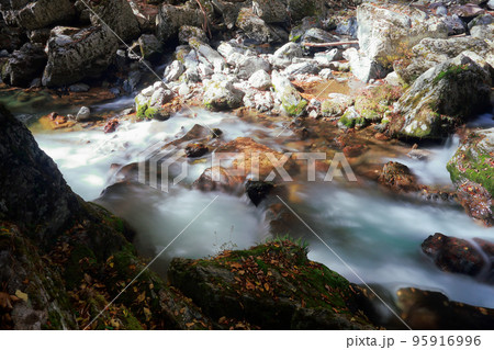 愛媛県 内子町 小田深山 秋 愛媛県 内子町 小田深山 秋 95916996