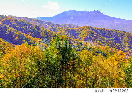 紅葉と御嶽山 95917008