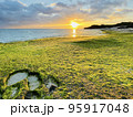 あおさ広がる春の海岸とオレンジ色の朝日 95917048