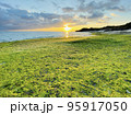 あおさ広がる春の海岸とオレンジ色の朝日 95917050