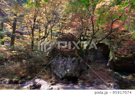 愛媛県 内子町 小田深山 秋 愛媛県 内子町 小田深山 秋 95917074
