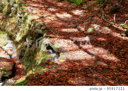 愛媛県　内子町　小田深山の紅葉 95917121
