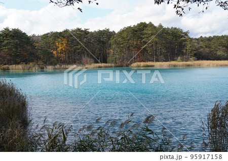 五色沼自然遊歩道・紅葉の風景(弁天沼) 五色沼自然遊歩道・紅葉の風景(弁天沼) 95917158