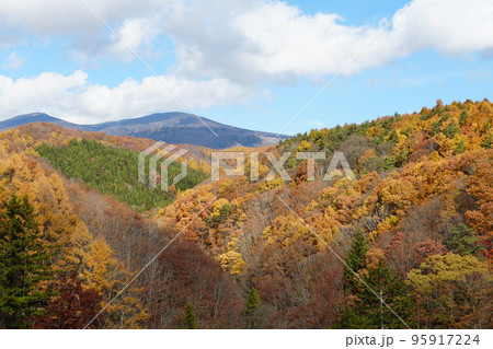 磐梯吾妻連山を望む 中津川渓谷 紅葉の風景(磐梯吾妻レークライン) 磐梯吾妻連山を望む 中津川渓谷 紅葉の風景(磐梯吾妻レークライン) 95917224