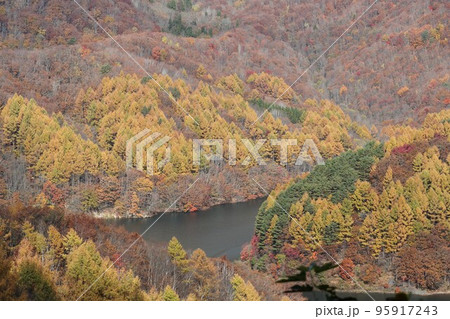 磐梯吾妻レークラインより小野川湖を望む 紅葉の風景 磐梯吾妻レークラインより小野川湖を望む 紅葉の風景 95917243