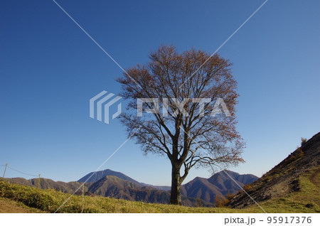中倉山 中倉山 95917376