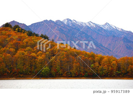 奥只見湖遊覧船から臨む冠雪の荒沢岳と湖畔の紅葉 奥只見湖遊覧船から臨む冠雪の荒沢岳と湖畔の紅葉 95917389